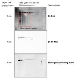 Comparison with BSA and non-fat milk