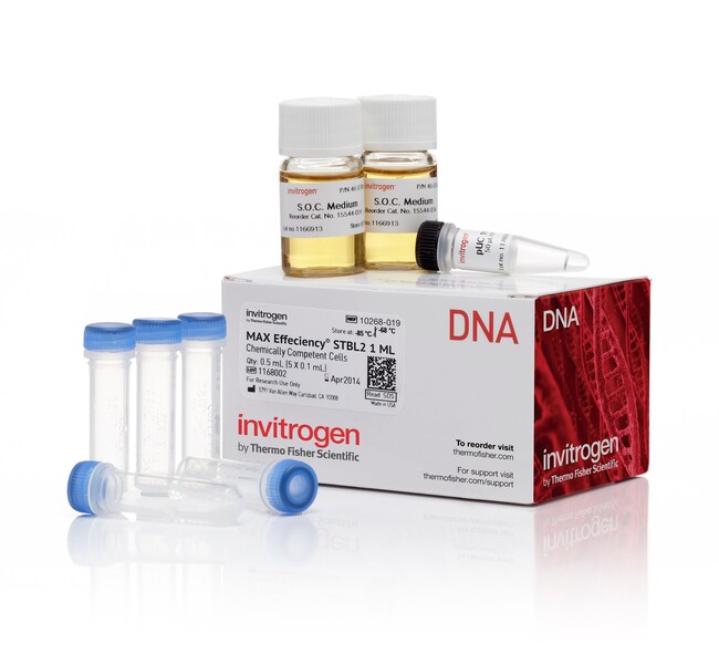 MAX Efficiency&trade; Stbl2&trade; 感受态细胞