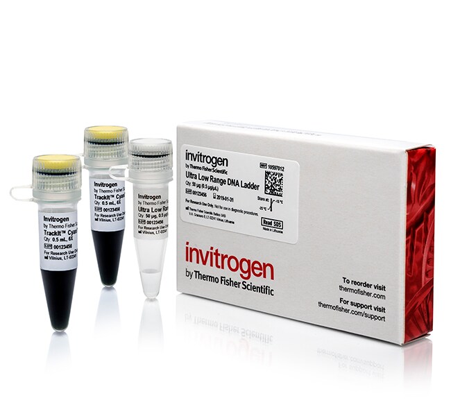 超低范围DNA分子量标准品