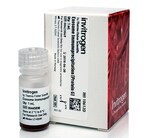 外泌体免疫沉淀试剂（蛋白 G）