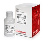 Intact Virus Precipitation Reagent