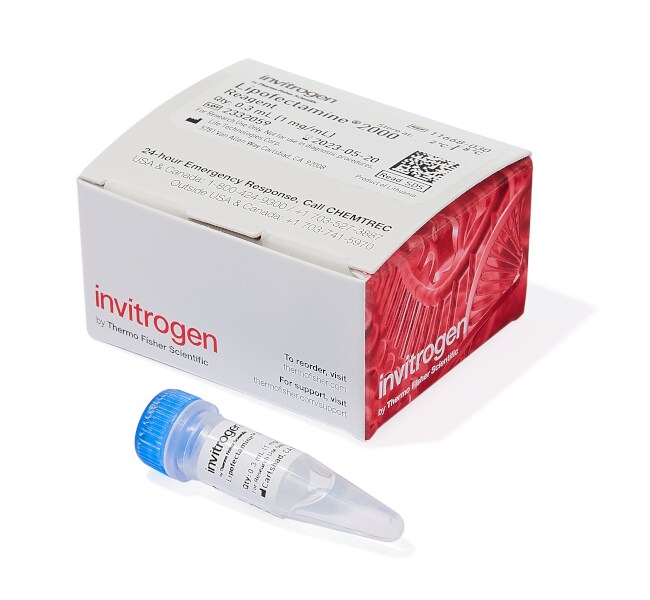 Lipofectamine&trade; 2000 转染试剂