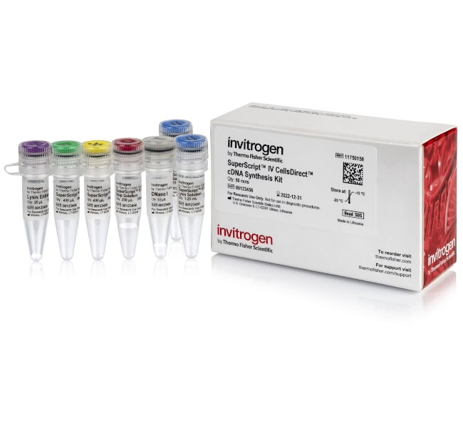 SuperScript™ IV CellsDirect™ cDNA Synthesis Kit