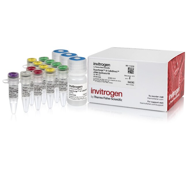 SuperScript&trade; IV CellsDirect&trade; cDNA 合成试剂盒