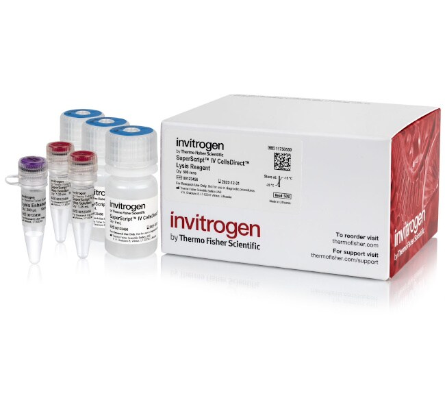 SuperScript™ IV CellsDirect™ 裂解试剂