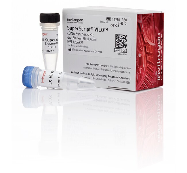 SuperScript™ VILO™ cDNA Synthesis Kit