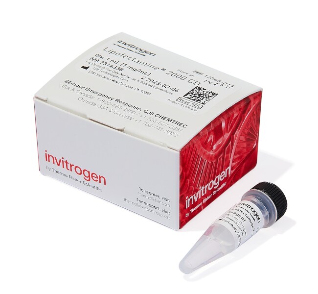 Lipofectamine&trade; 2000 CD Transfection Reagent