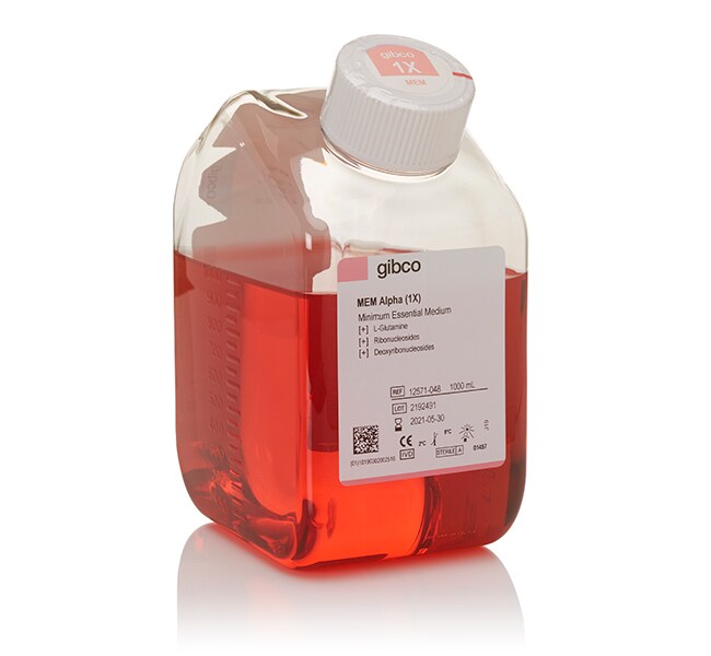 MEM &alpha;, nucleosides