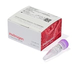 Lipofectamine&trade; RNAiMAX 转染试剂