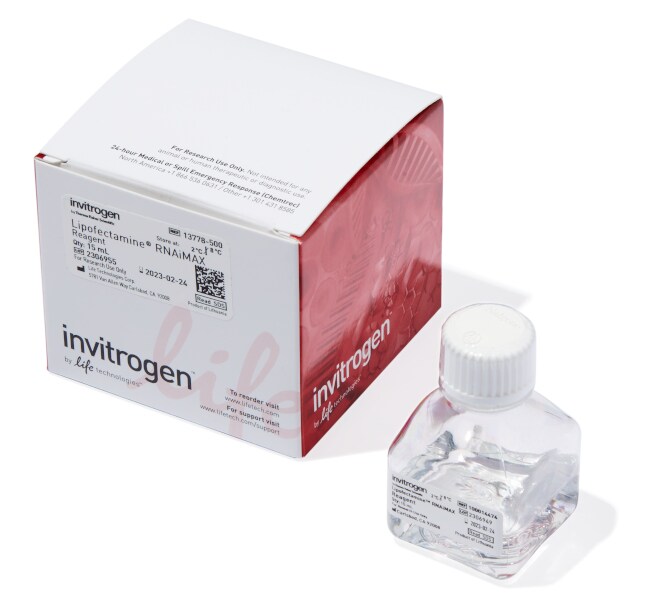 Lipofectamine™ RNAiMAX Transfection Reagent