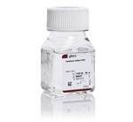 Kanamycin Sulfate