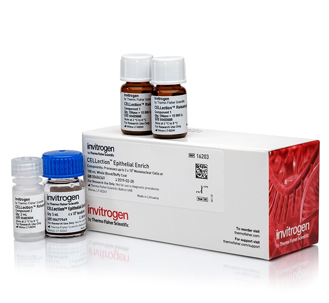 CELLection&trade; 上皮富集 Dynabeads&trade;