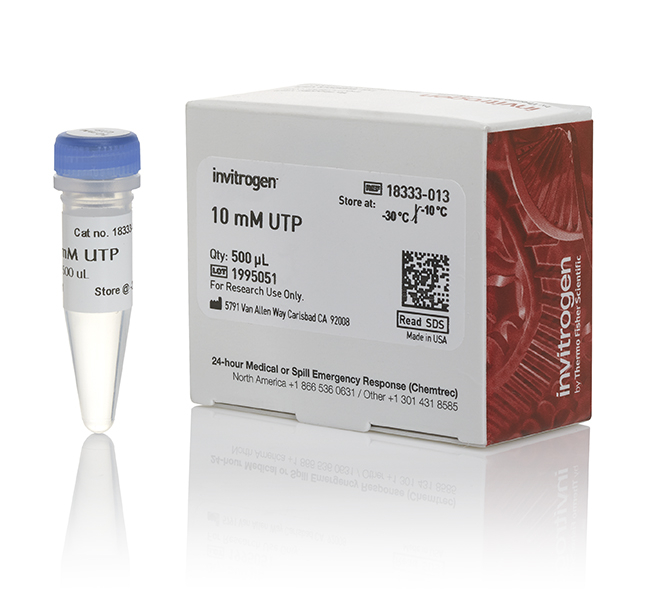 Utp Lab Cal UTP: 5 μmol | Buy Online | Invitrogen™ | thermofisher.cn