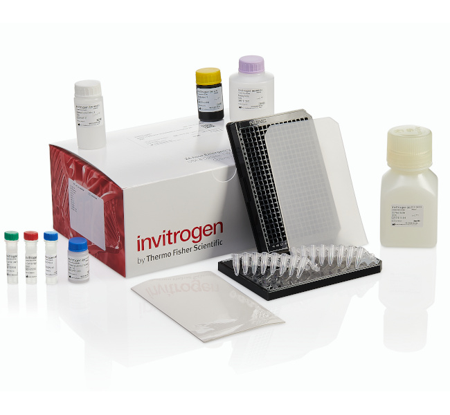 ProcartaPlex™ Human Immune Monitoring 384 well Panel, 65plex