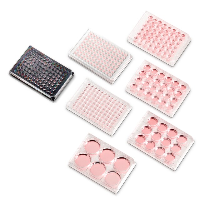 BioLite™ 96W Optical Bottom, Cell Culturetreated Plates with Lid