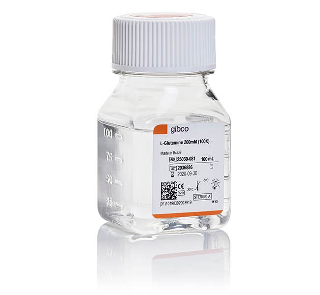 L-谷氨酰胺 (200 mM)