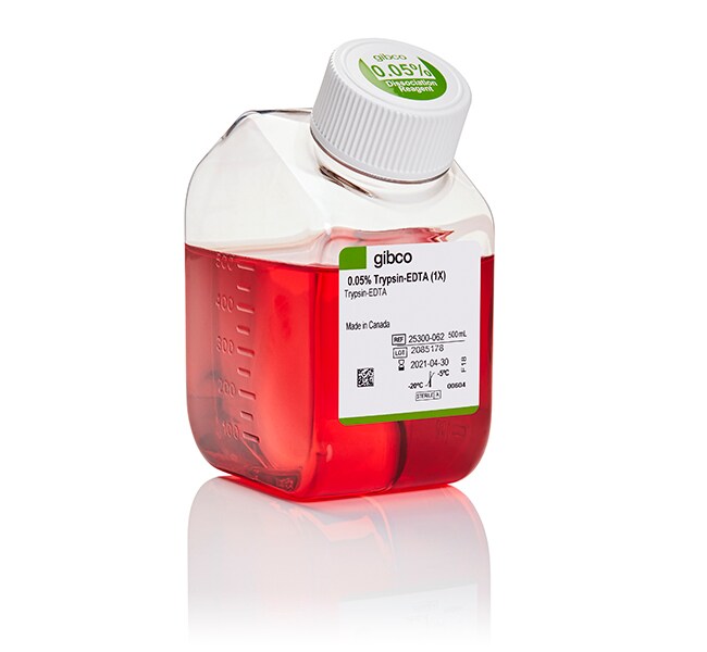 胰蛋白酶-EDTA (0.05%)，含酚红