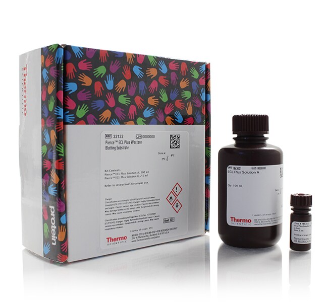 Pierce&trade; ECL Plus Western Blotting Substrate