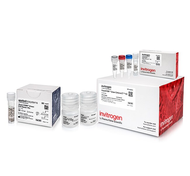 <i>Power</i> SYBR™ Green Cells-to-C<sub>T</sub>™ Kit