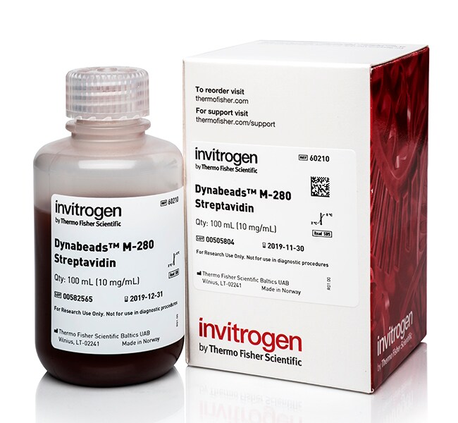 Dynabeads™ Streptavidin Magnetic Beads