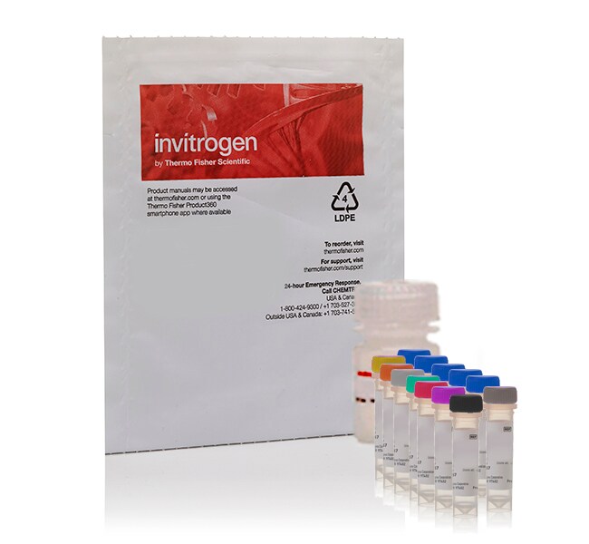 Amplex&trade; Red Sphingomyelinase Assay Kit