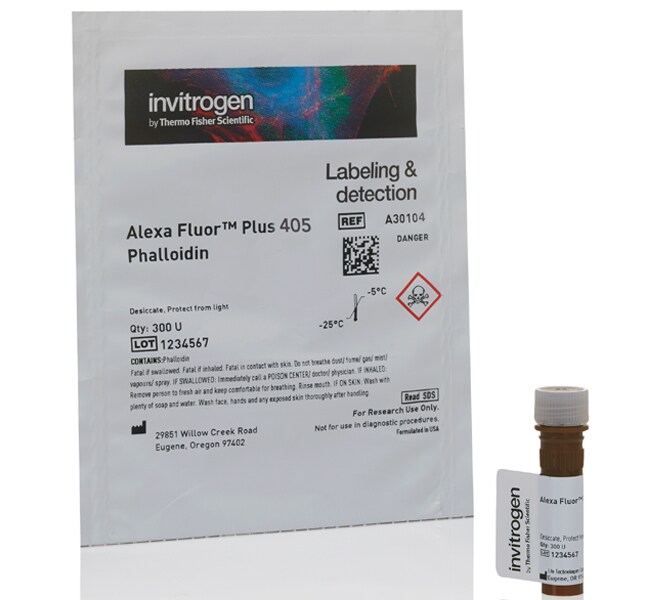 Phalloidin Labeling Probes