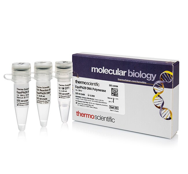 EquiPhi29&trade; DNA 聚合酶