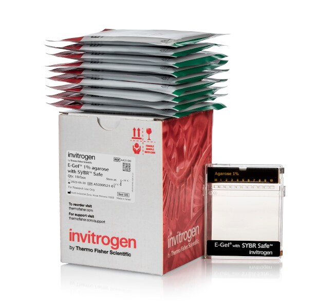 含有 SYBR&trade; Safe DNA 凝胶染料的 E-Gel&trade; 琼脂糖凝胶，2%