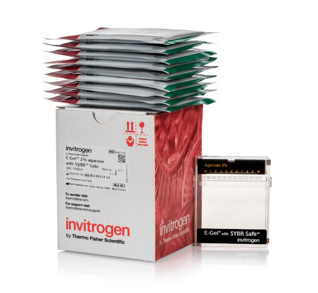 E-Gel™ Agarose Gels with SYBR™ Safe DNA Gel Stain