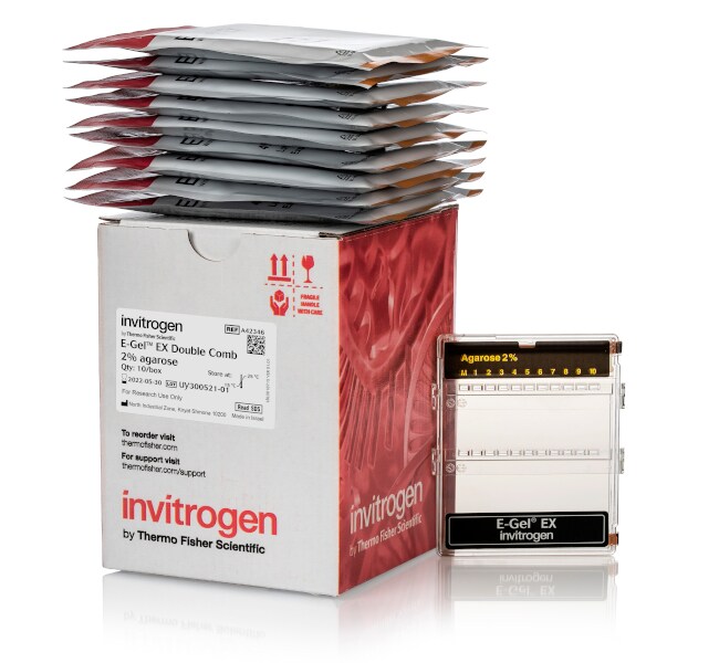 E-Gel&trade; EX 双电泳梳琼脂糖凝胶，2%