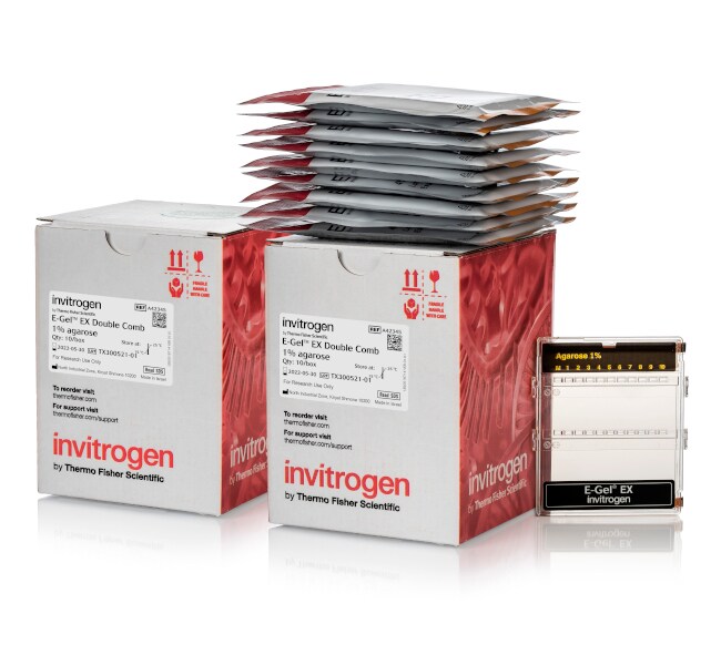 E-Gel&trade; EX Double Comb Agarose Gels