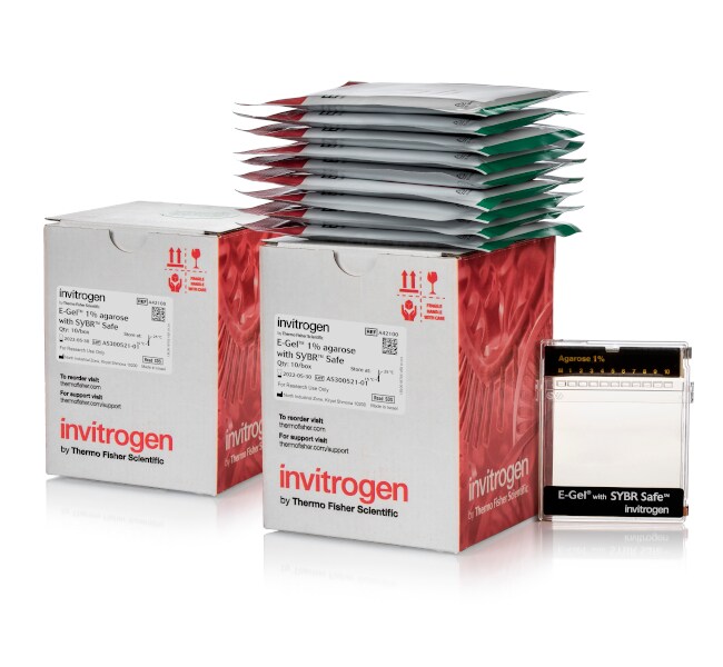 含有 SYBR&trade; Safe DNA 凝胶染料的 E-Gel&trade; 琼脂糖凝胶，2%