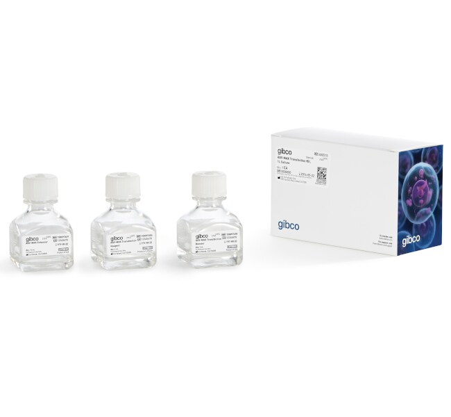AAV-MAX Transfection Kit