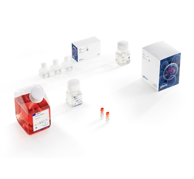 AAV-MAX Helper-Free AAV Production System Kit