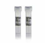 TMTpro 18-plex、TMTpro-134C 和 TMTpro-135N 标记试剂