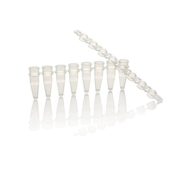 PCR Tubes &amp; Caps, RNase-free, 0.2 mL (8-strip format)
