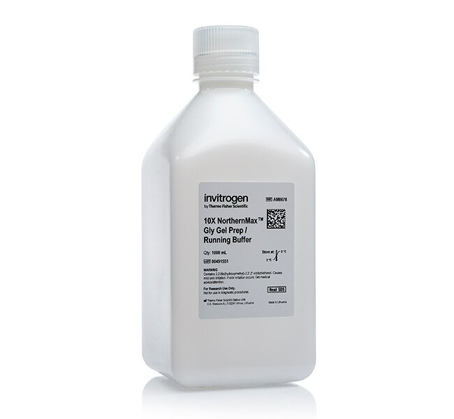 NorthernMax&trade;-Gly 凝胶制备/电泳缓冲液 (10X)