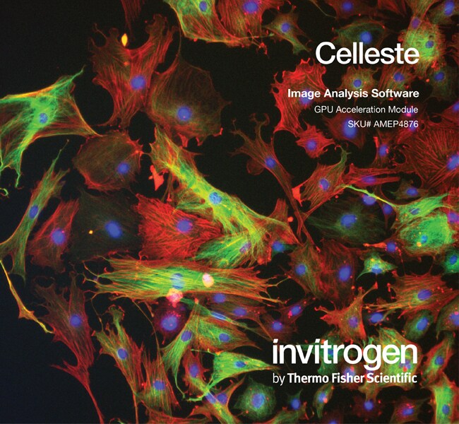 Celleste&trade; 3D 反卷积 GPU 加速软件，单用户许可证