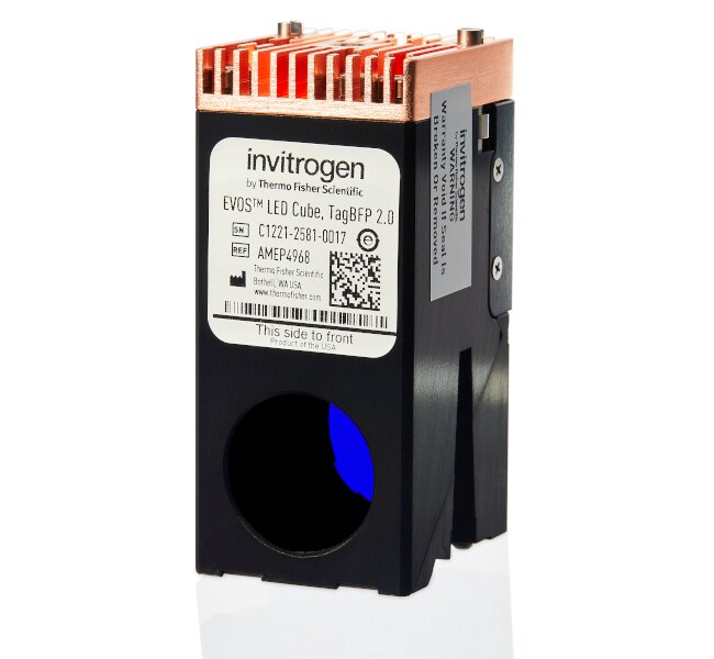 EVOS&trade; Light Cube, TagBFP 2.0