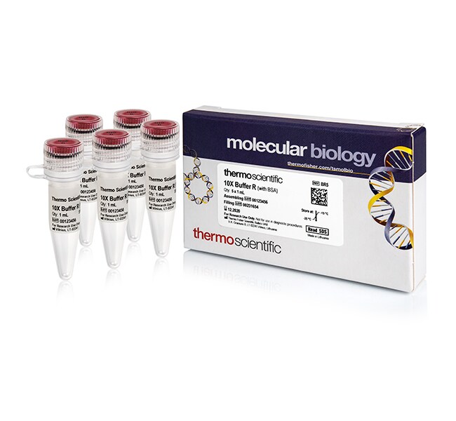 缓冲液 R (10X)