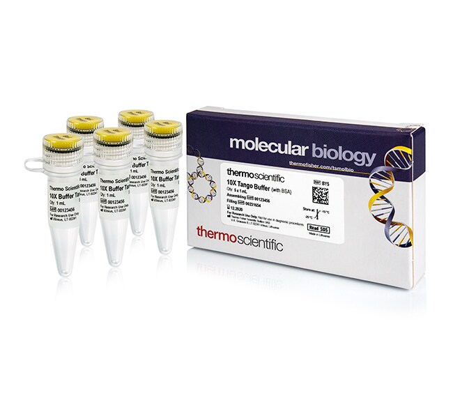 Tango 缓冲液 (10X)