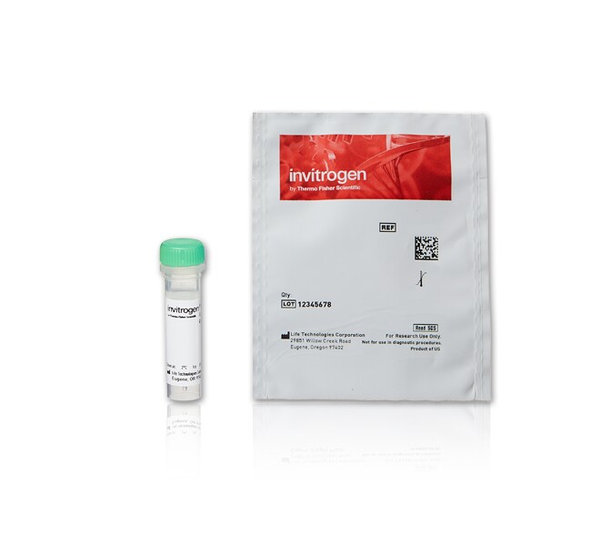 pHrodo&trade; Green STP 酯