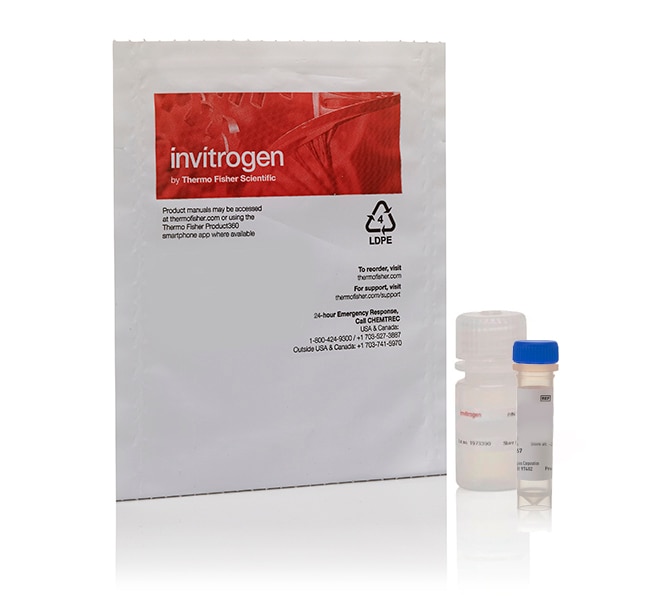 FluoReporter&trade; <i>lacZ</i>/半乳糖苷酶定量试剂盒