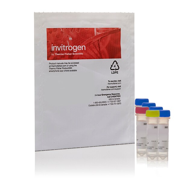 Rhod-3 钙成像试剂盒