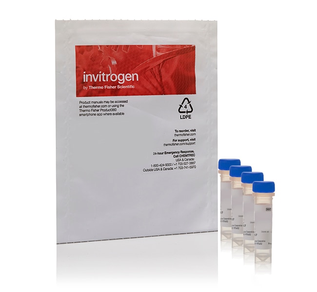 ViaGram&trade; Red<sup>+</sup> 细菌革兰氏染色和活力检测试剂盒