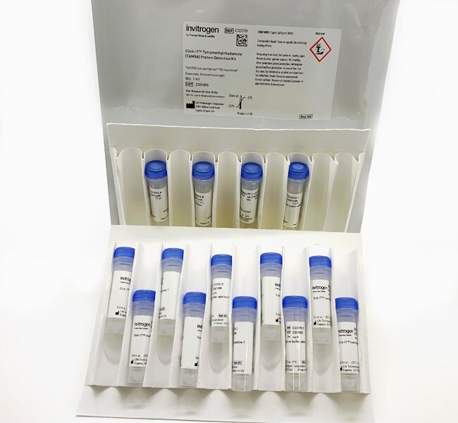 Click-IT&trade; Tetramethylrhodamine (TAMRA) Protein Analysis Detection Kit