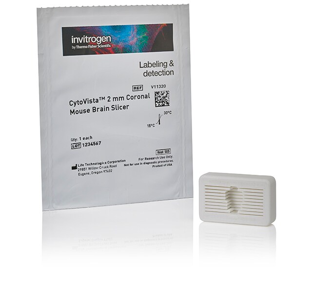 CytoVista&trade; 2 mm 冠状小鼠脑切片机