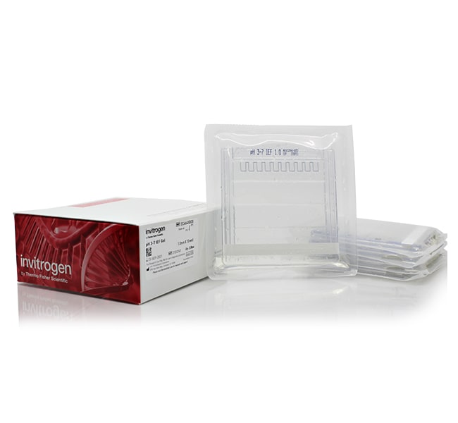 Novex™ pH 3-7 IEF 蛋白凝胶,1.0 mm