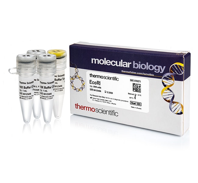 EcoRI (10 U/&mu;L)