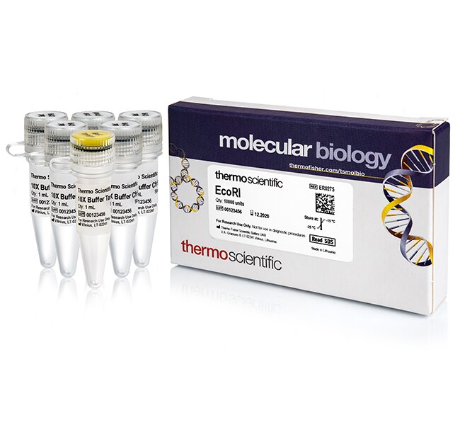 EcoRI (10 U/&mu;L)
